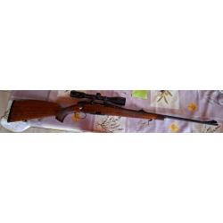 243 steyr malincher