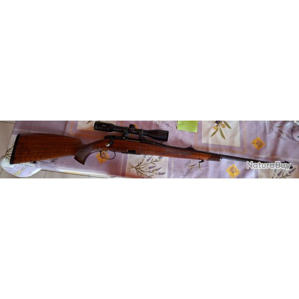 243 steyr malincher