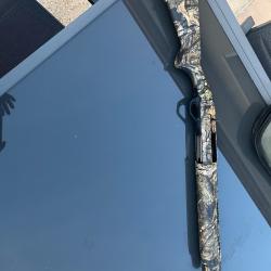 Semi automatique sx4 winchester