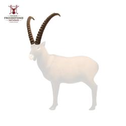 Cornes Bouquetin - SRT