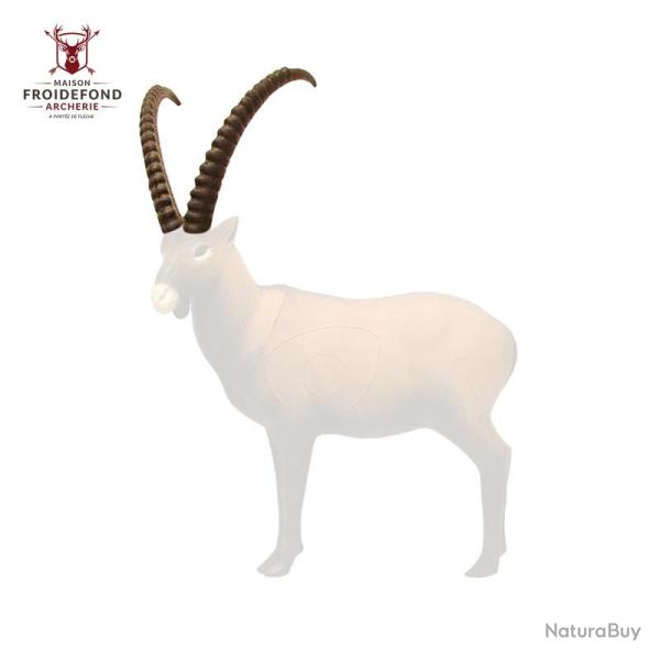 Cornes Bouquetin - SRT