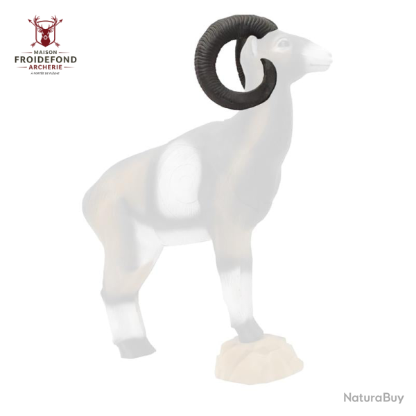Cornes Mouflon - SRT