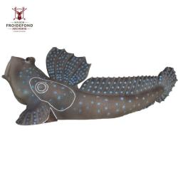 P&eacute;riophtalme (poisson-grenouille) Cible 3D - SRT