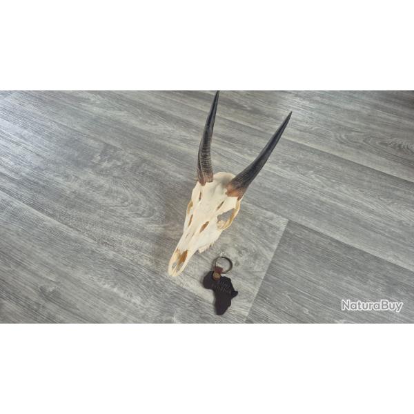 troph�e africain + porte clef