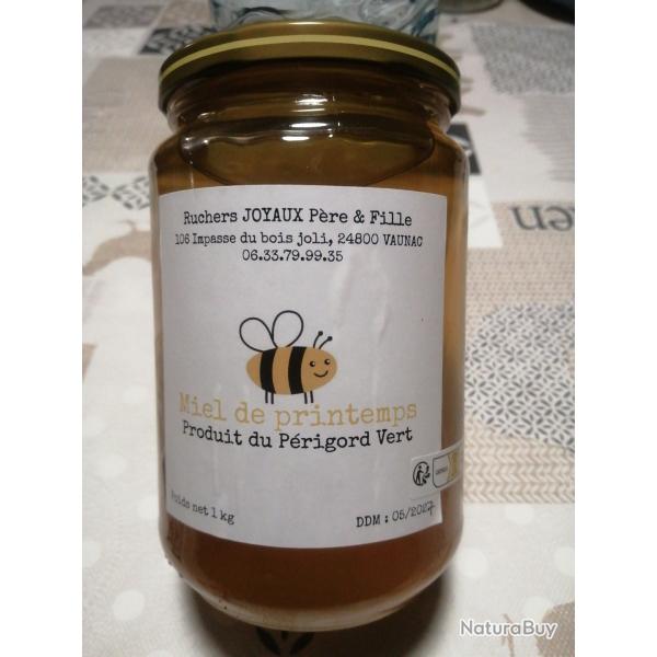 Pot de miel de printemps de 1kg