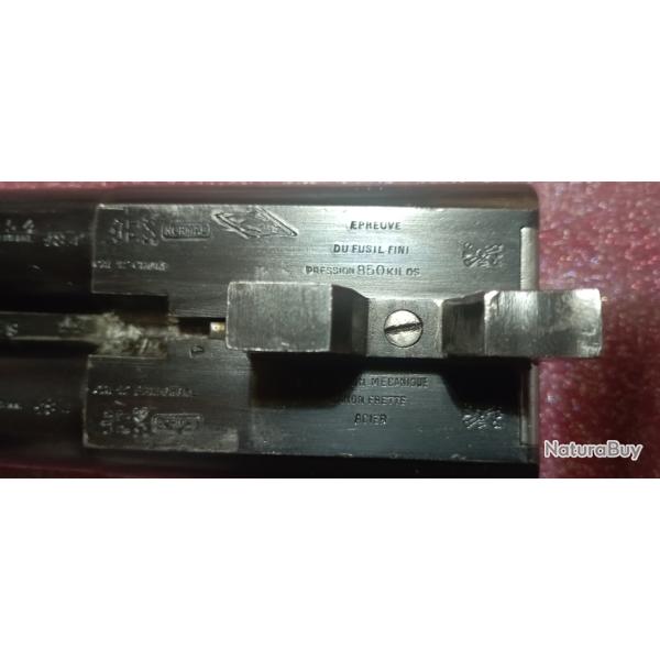 Robust 22 , calibre 12