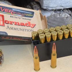 munition chasse