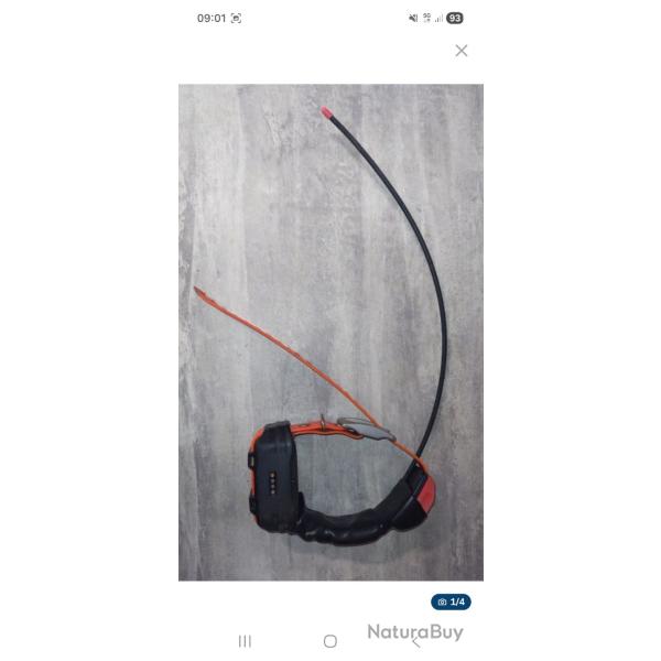 Collier gps garmin