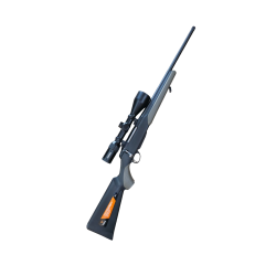 Tikka t3x lite 243w pack approche lunette Steiner ranger 4 3-12x56