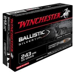 WINCHESTER 243W BST 55GR