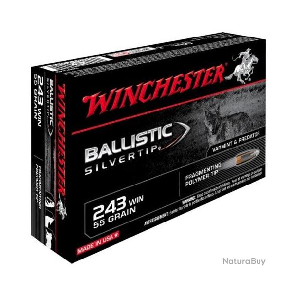 WINCHESTER 243W BST 55GR
