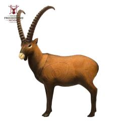 Ibex Cible 3D - SRT