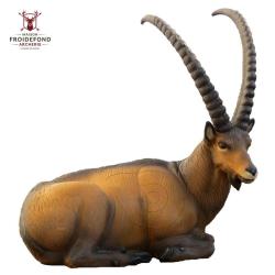 Ibex couch&eacute; Cible 3D - SRT