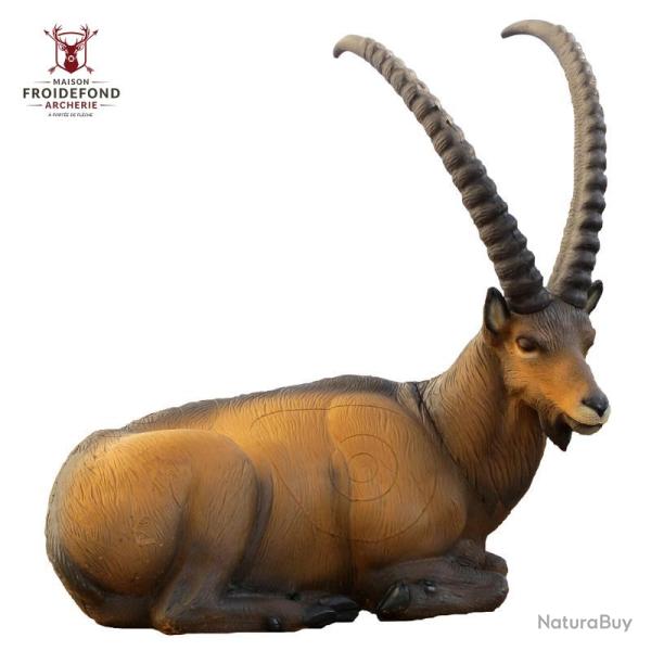Ibex couch� Cible 3D - SRT