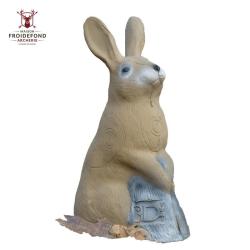 Lapin Coniglietto Cible 3D - 3Di