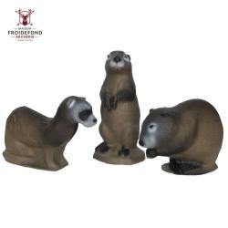 Pack Famille Vison Rat Musqu&eacute; Chien de Prairie Cible 3D - 3Di