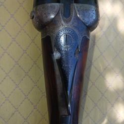 Fusil pigeons vivant