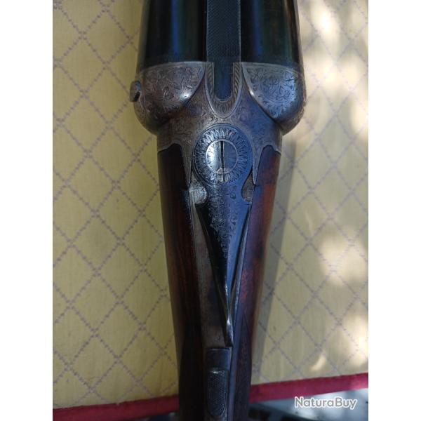Fusil pigeons vivant