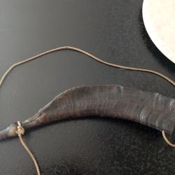 Ancienne corne chasse