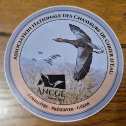 Autocollant chasse , gibier d'eau , ancge