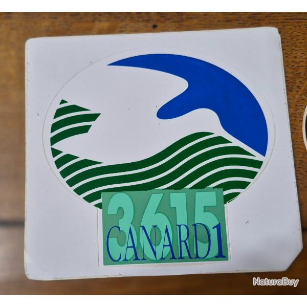 Autocollant chasse  , gibier d'eau ,  canard 1 ,becassine