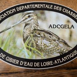 Autocollant chasse  , gibier d'eau ,  adcgela