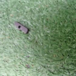 extracteur  de fusil Verney Carron