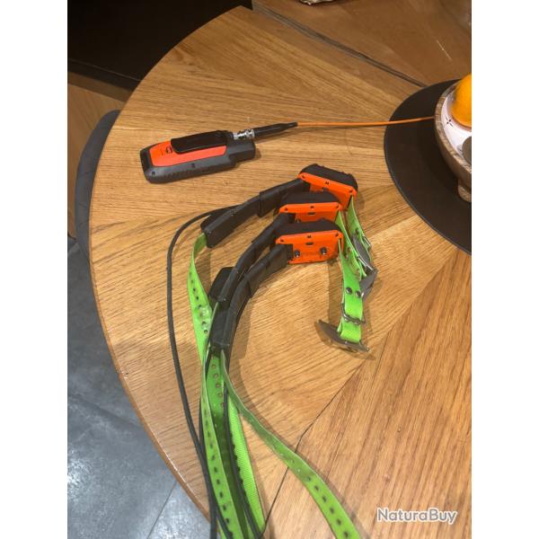 Alpha 300f et 3TT25 2 ans