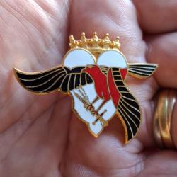 INSIGNE GROUPEMENT AVIATION LEGERE APPUI GALA 3  ( ALGER )