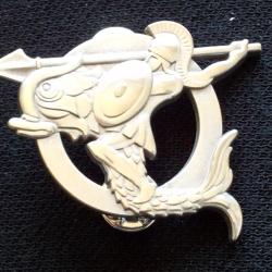BREVET STAGE DE QUALIFICATION AUX OPERATIONS AMPHIBIES
