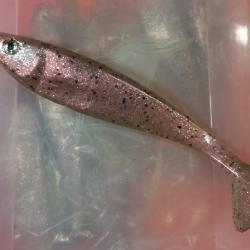 Delalande Shad GT 18cm crevette paillet&eacute;