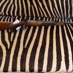 SAUER 101
