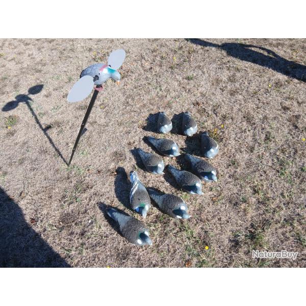 Pigeon motoris� a ailes tournantes