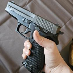 SIG P226