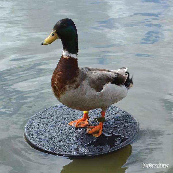 10 Plateaux flottants pour appelant plastique solide diam�tre 34 cm