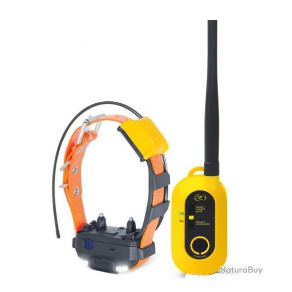 Dogtra Pathfinder 2 mini ensemble GPS rep�rage et dressage