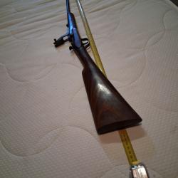 Carabine 9mm warnant