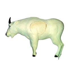 Ch&egrave;vre de montagne - Eleven