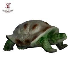 Tortue - Eleven