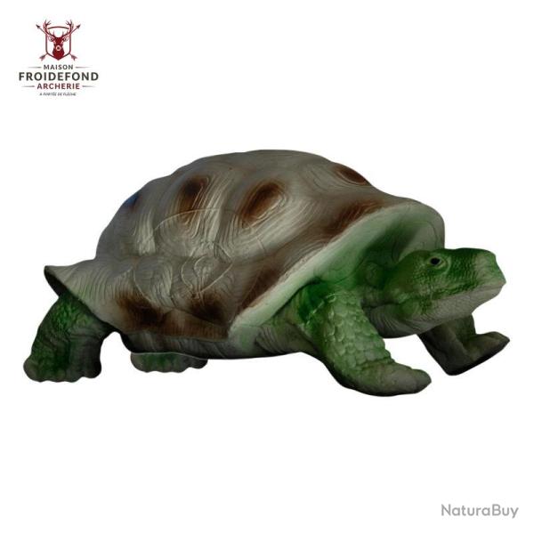 Tortue - Eleven