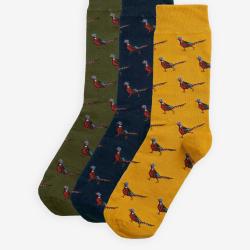 Chaussettes Faisans Homme Pack - Forest Mist - Barbour