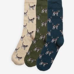 Chaussettes pointer forest mist