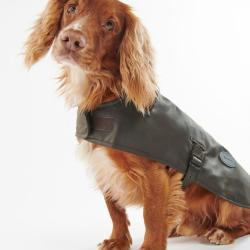 Manteau huil&eacute; pour chiens 3 tailles - L / Olive