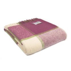 Plaid block check raspberry