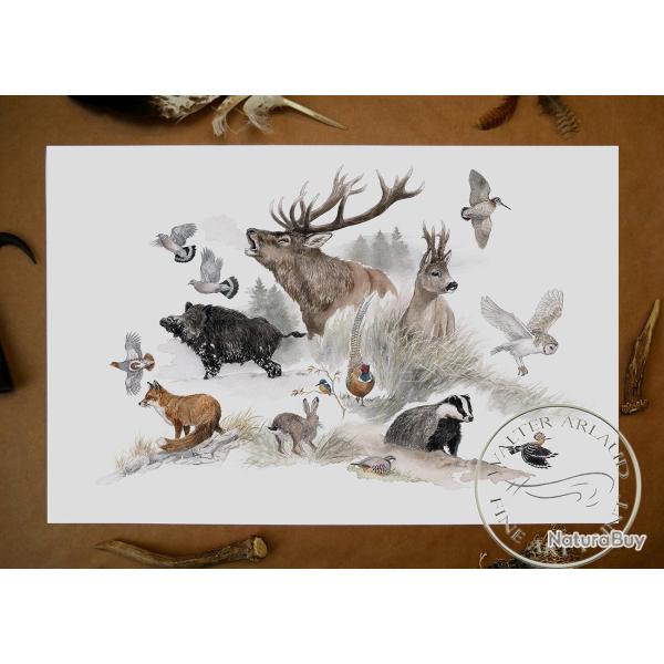 Tirage fine art Bestiaire - 40 x 30 cm