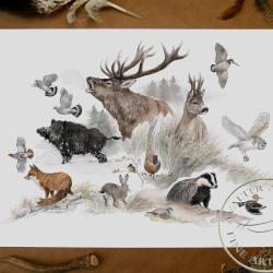 Tirage fine art Bestiaire - 60 x 40 cm