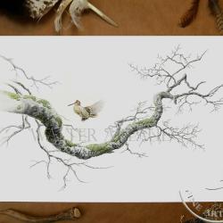 Tirage fine art &eacute;tude Voltige