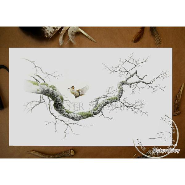 Tirage fine art �tude Voltige