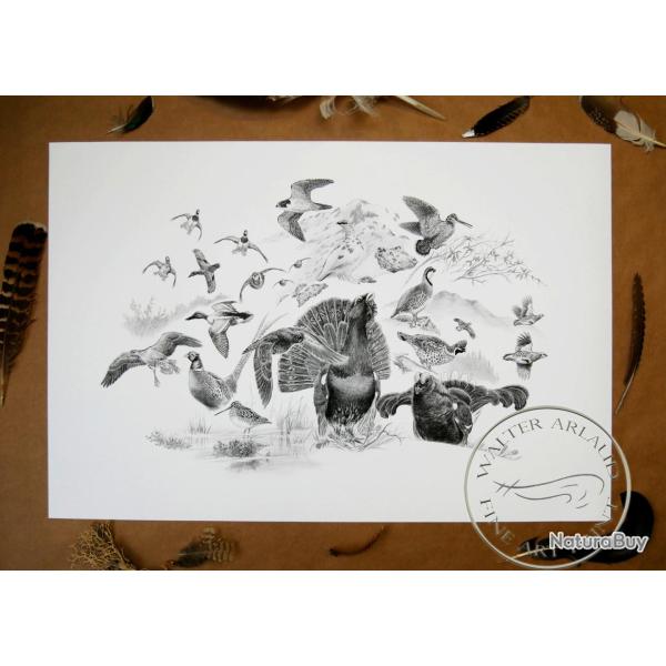 Tirage fine art Oiseaux - 40 x 30 cm