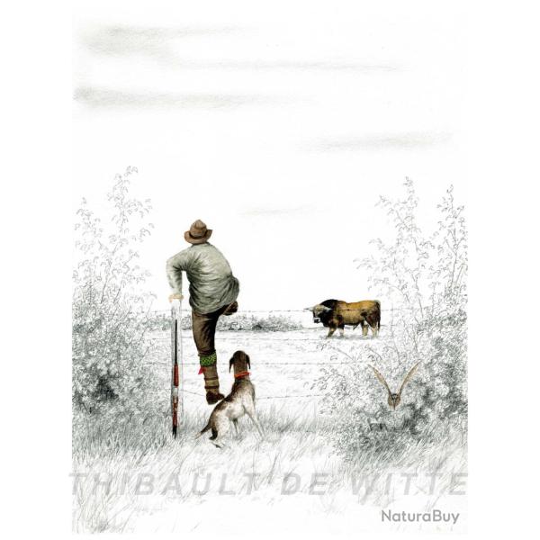 Tirage d'Aquarelle � B�casse au cul lev� � - Thibault de Witte
